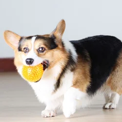 Pelota chirriante grande para perros – Juguete masticar duradero