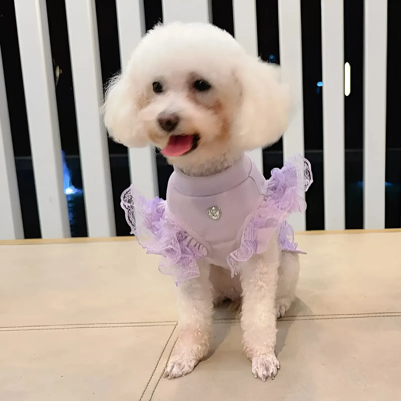 Camisa inferior de encaje para perros de otoño/invierno para mascotas, camiseta sin mangas con mangas voladoras de peluche para gatos, ropa para perros pequeños, ropa para cachorros - imagen 4