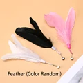 Feather  Random