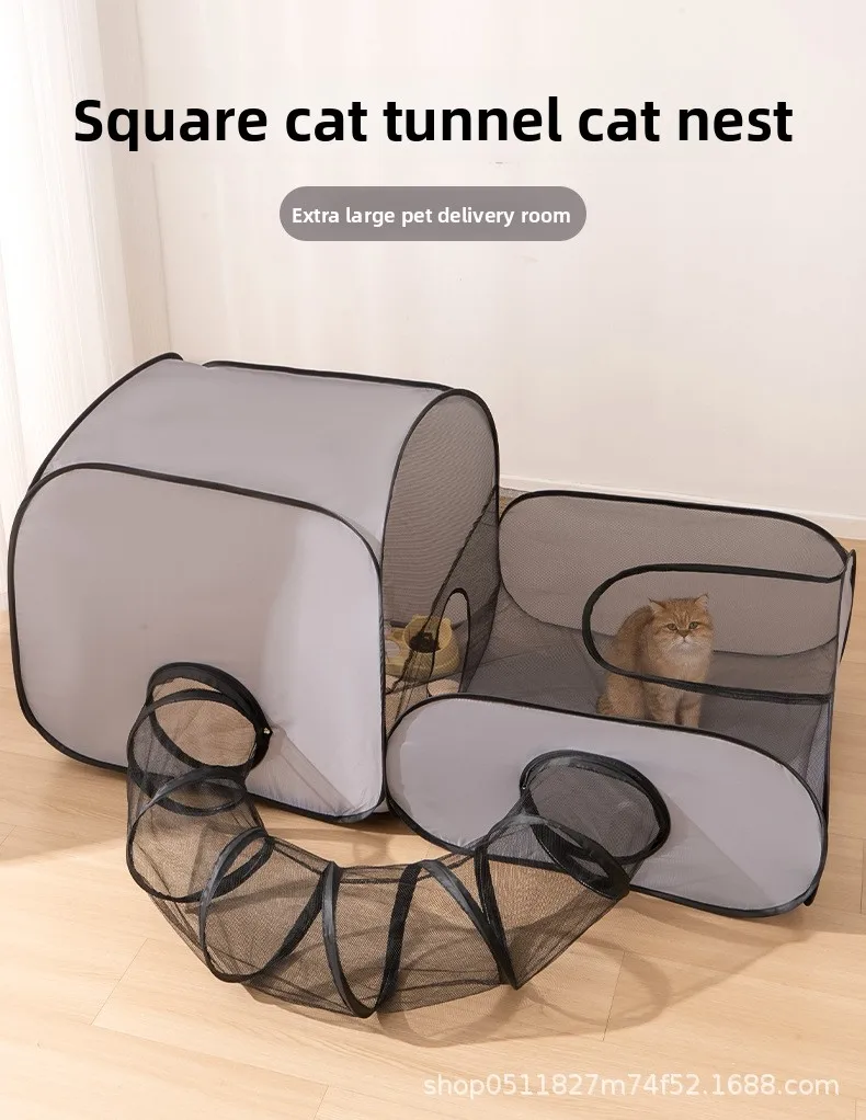 hmqViviiyNSAyin9WuaRt6h8HaJFYu4TYZzj