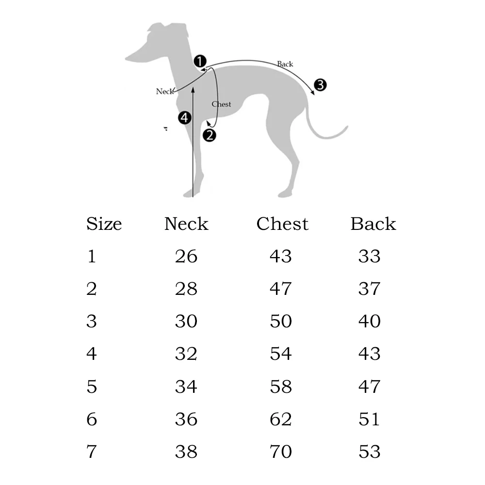 Traje lana vaca Whippet 1