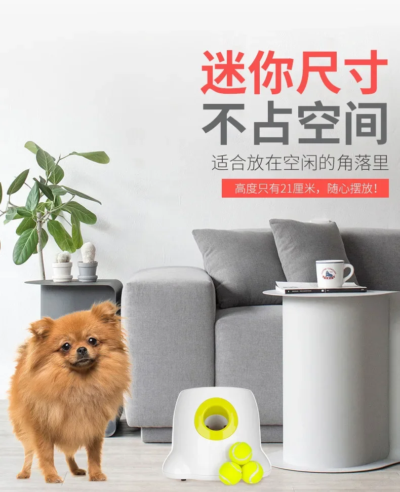Lanzador automático de pelotas para perros funcionando