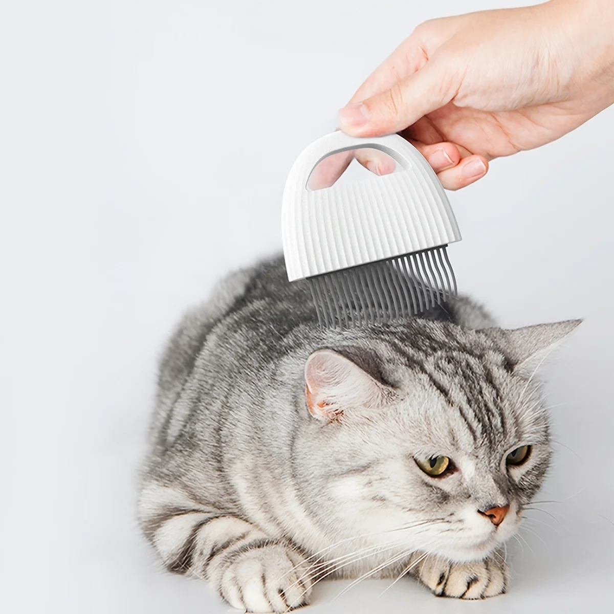 Peine de aseo para perros y gatos, peine con forma de concha, aparatos de aseo para mascotas y peluquería - imagen 3