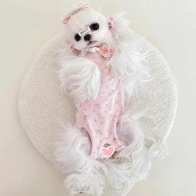 Lindo encaje Otoño/Invierno mono para mascotas ropa para perros Floral y terciopelo elástico ropa de dormir de casa pijamas de tela para cachorros disfraz para perros - imagen 3