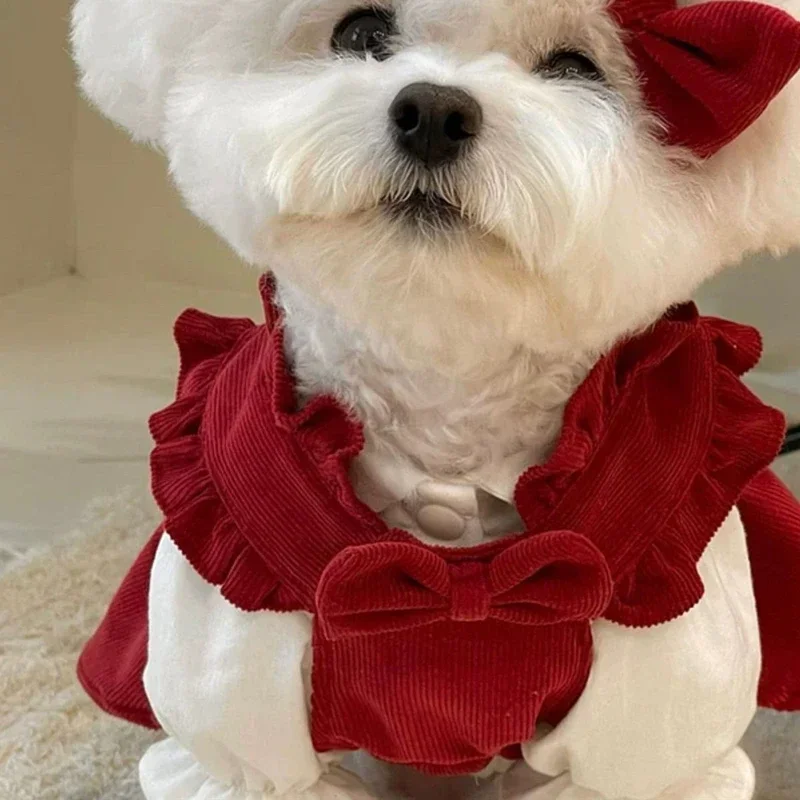 Ropa de invierno para mascotas, jersey de Pomerania de color sólido, Rojo cálido, falda para cachorros, vestido de princesa para perros pequeños - imagen 5