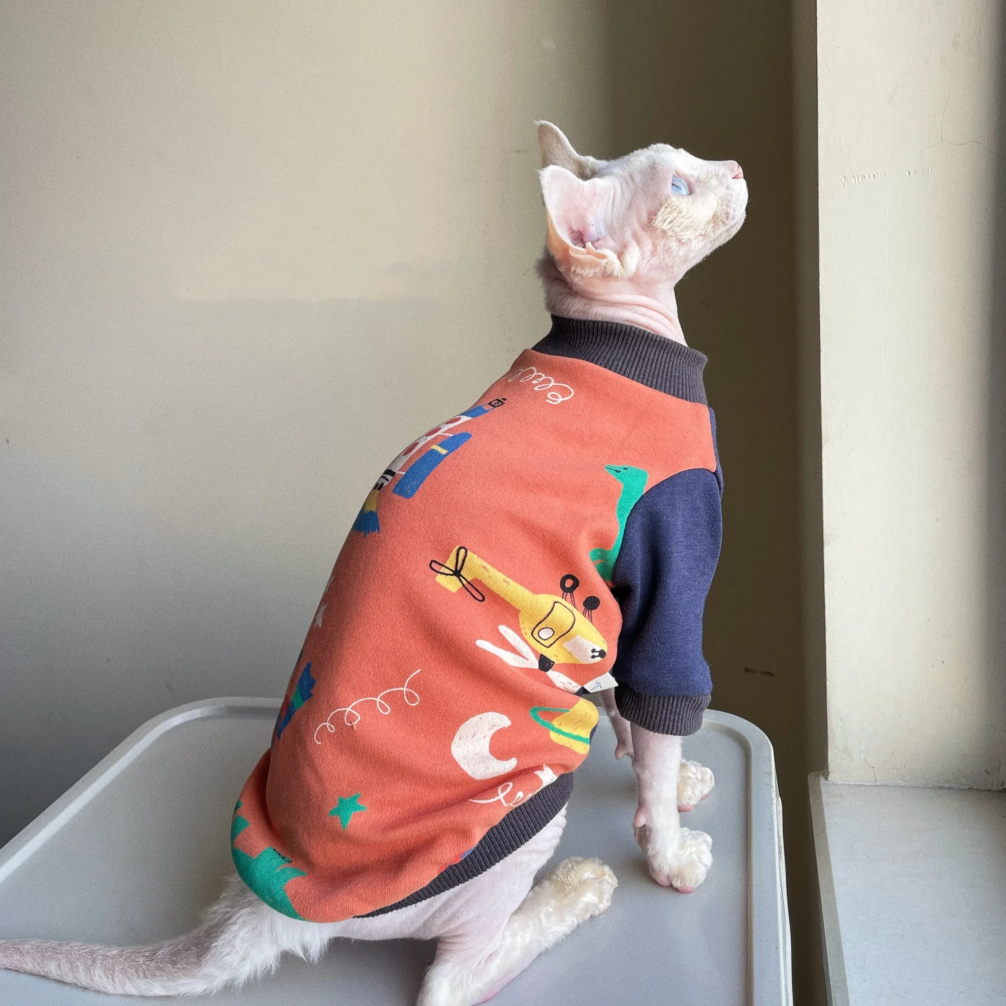 Abrigo suave cálido de invierno para gato Sphynx y Devon Rex - imagen 2