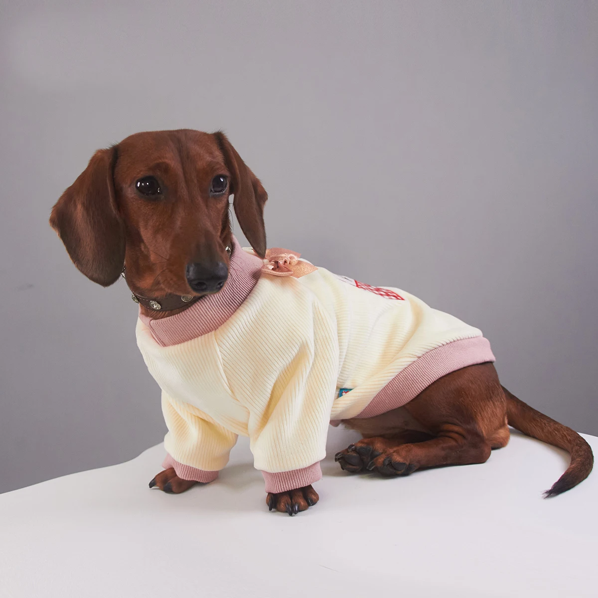 Pijama rosa cálido para perro salchicha – Otoño invierno primavera