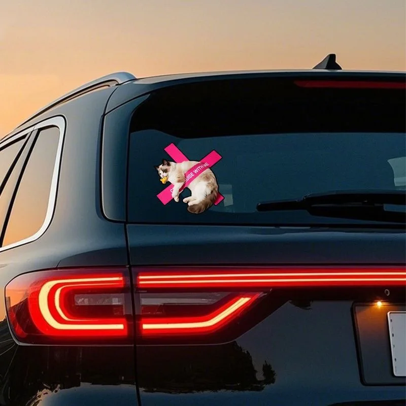 Pegatinas creativas impermeables para gatos – en coches y motos - imagen 4