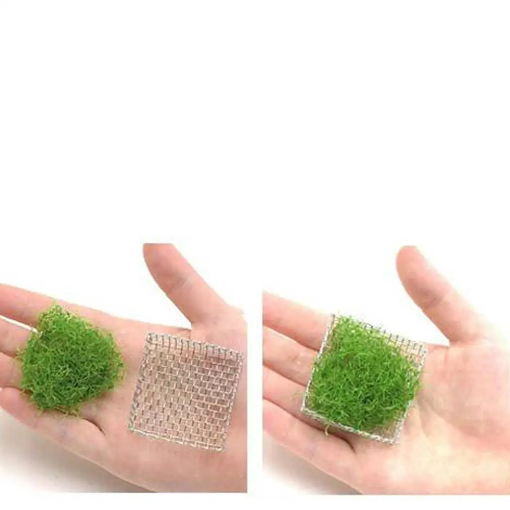 10x Aquarium Stainless Steel Wire Mesh Pad Plants Moss Net - Easy to Use with All Aquatic Plants
