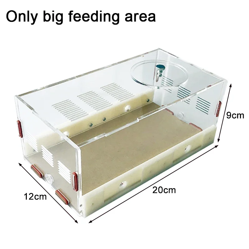 Big feeding area