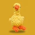 Little Duck