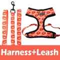 Red Harness Leash
