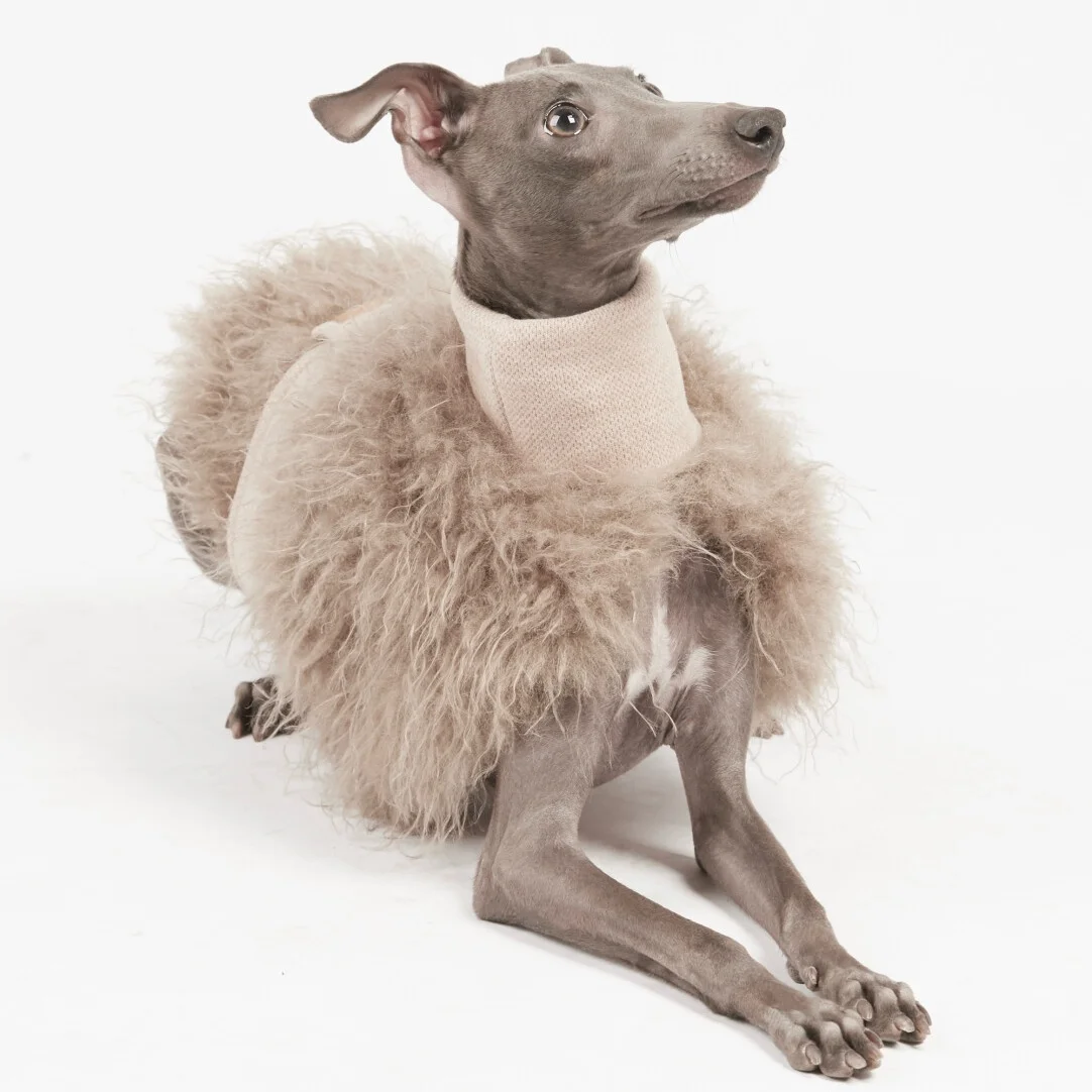 Elegante y cálida chaqueta de capa de felpa para perros en invierno, suéter caqui suave para galgo italiano, abrigo con cintura ajustable para Whippet