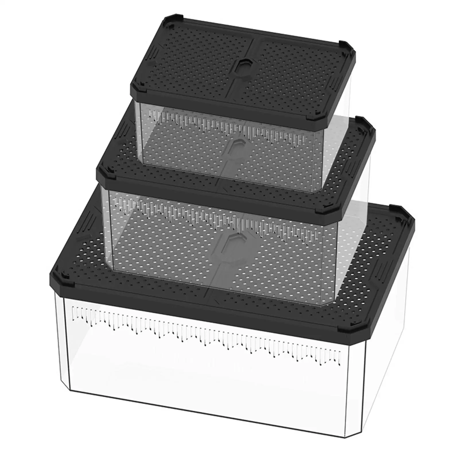 Reptile Feeding Box Aquarium Fish Breeding Box with Vents Reptile Container Display Box Clear Breeding Box for Gecko Scorpion