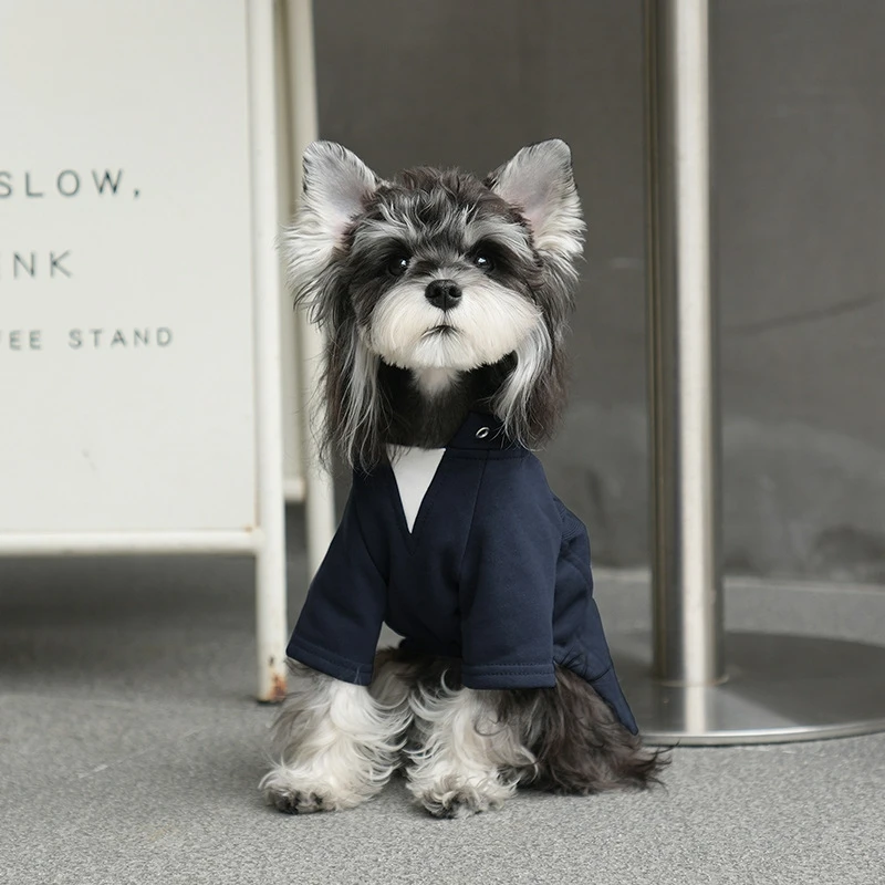 Sudadera con capucha de perro de dos piezas falsa de dos patas de Color sólido para razas pequeñas, ropa ligera para exteriores de primavera y verano, Schnauzer, Bichon