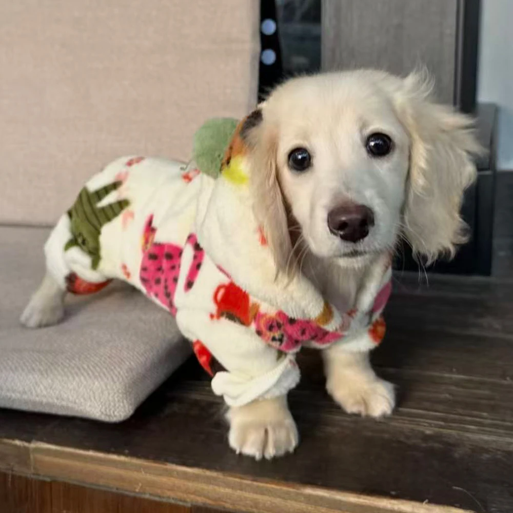 Jersey con capucha para perro Dachshund – Abrigo cálido y suave