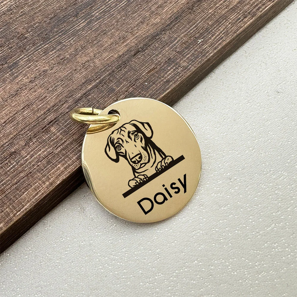 Etiquetas de identificación personalizadas para mascotas, grabado de latón martillado a mano, collares antipérdida para cachorros y gatitos, etiqueta con nombre para perros y gatos, accesorios para perros y mascotas - imagen 2