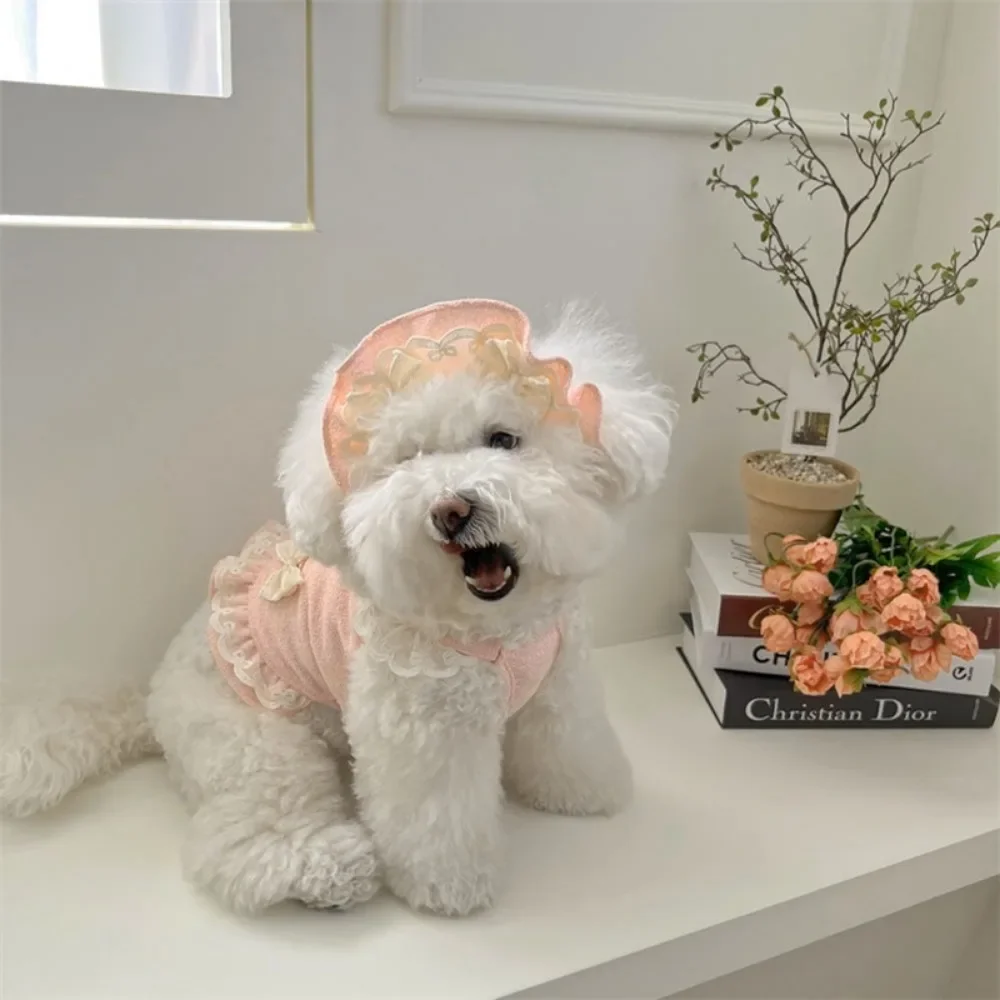 Ropa de diseño para mascotas, camisola, chaleco, gato pequeño y mediano, ropa con lazo de encaje para primavera y verano, conjunto de 2 piezas, sombrero de encaje, vestidos para cachorros - imagen 5