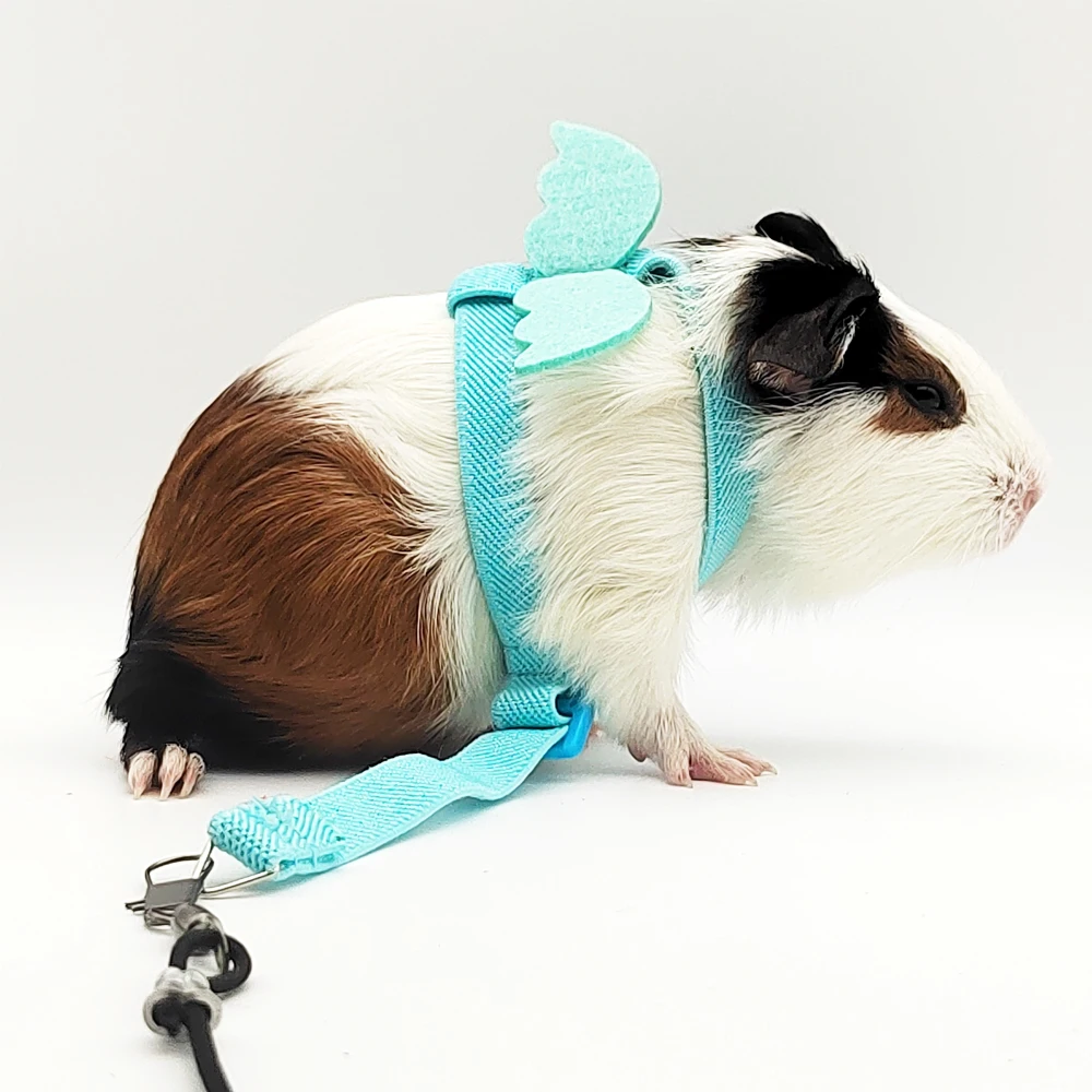 Arnés ajustable para loros y pájaros, diseño de correa de entrenamiento antimordida, correa para loros pequeños, adiestramiento al aire libre, tracción, 1 ud. - imagen 3