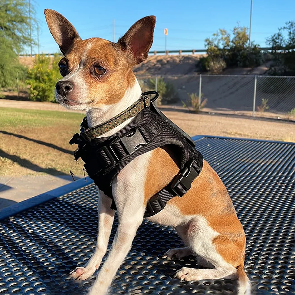 Chaleco táctico con arnés para perros, adecuado para perros pequeños, chaleco para perros sin extracción, arnés ajustable para caminar y hacer senderismo - imagen 3