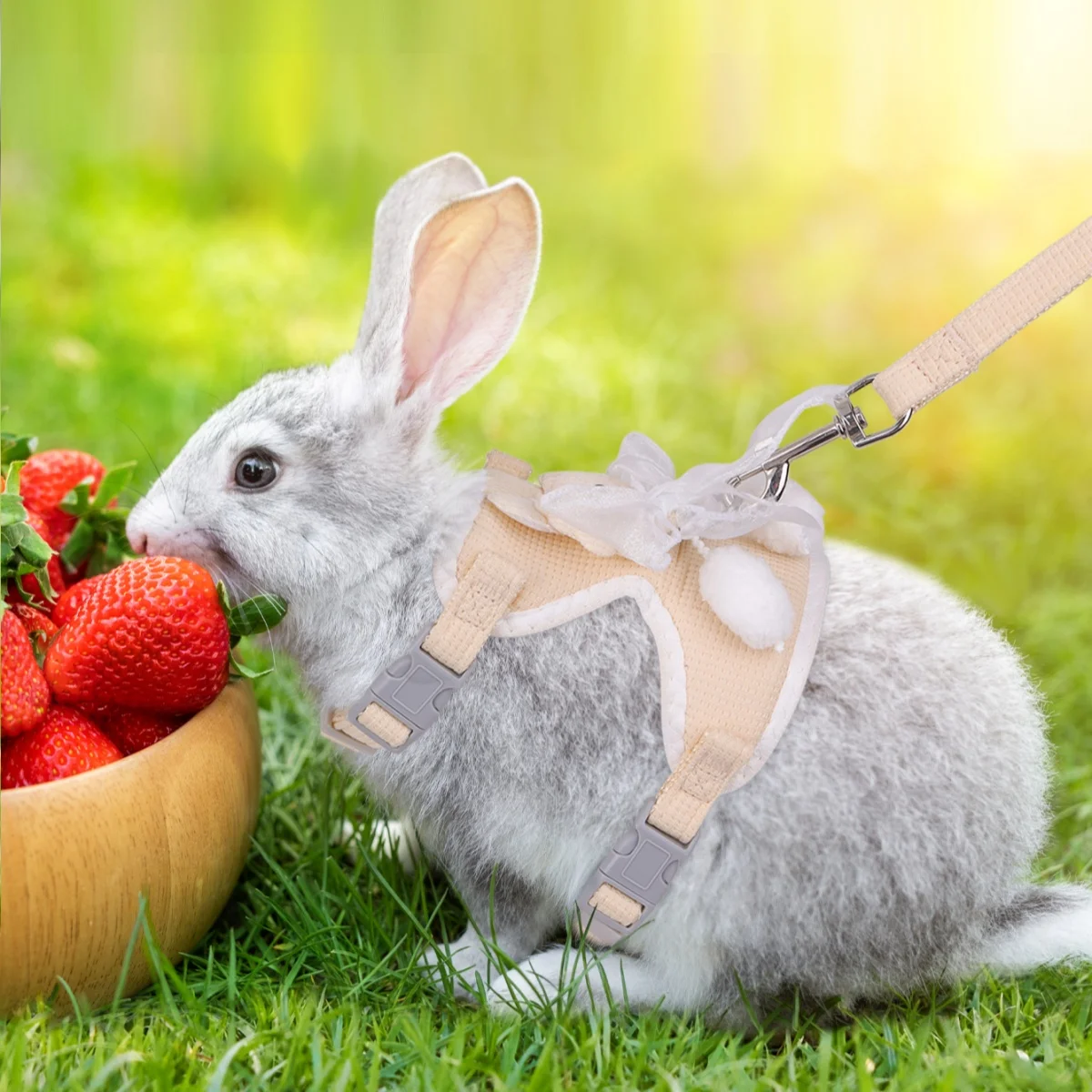 Conjunto de correa para chaleco de Mascota, arnés de pecho para gato, dibujos animados, antirotura, pequeño, 1 unidad - imagen 2