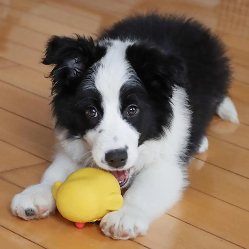 Juguete de látex para morder con sonido para perro, Limpieza de dientes Molar de juguete, dureza, alivia el estrés, mascota inofensivo, cachorro, pollo chillón, 2022 - imagen 4