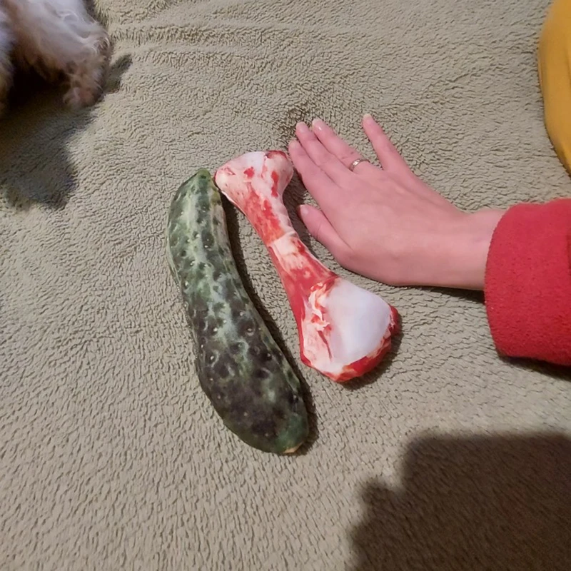 Juguetes chirriantes para gatos, hierba gatera, juguete de peluche para gatos, gatito Katten speelgoed gatos productos para mascotas 	 kedi malzemeleri - imagen 2