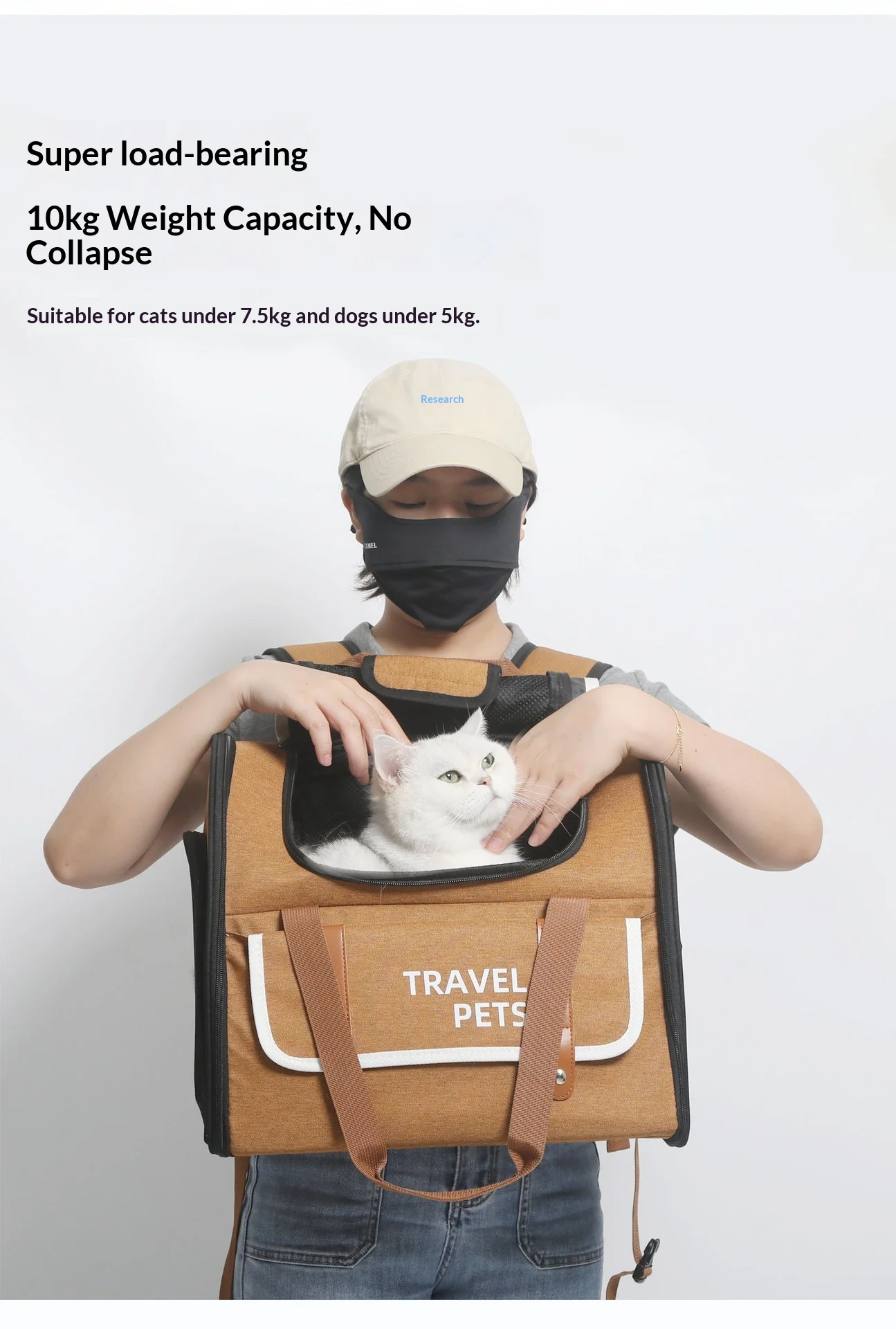 Mascota cómoda dentro de la bolsa de transporte