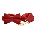Bow Collar Leash Set