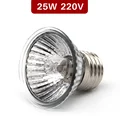 Type A-25w