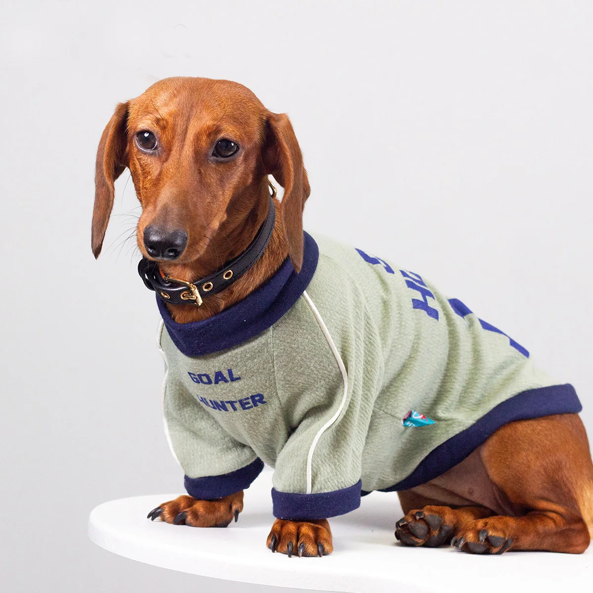 Sudadera deportiva cuello alto para perros salchicha, entretiempo - imagen 3