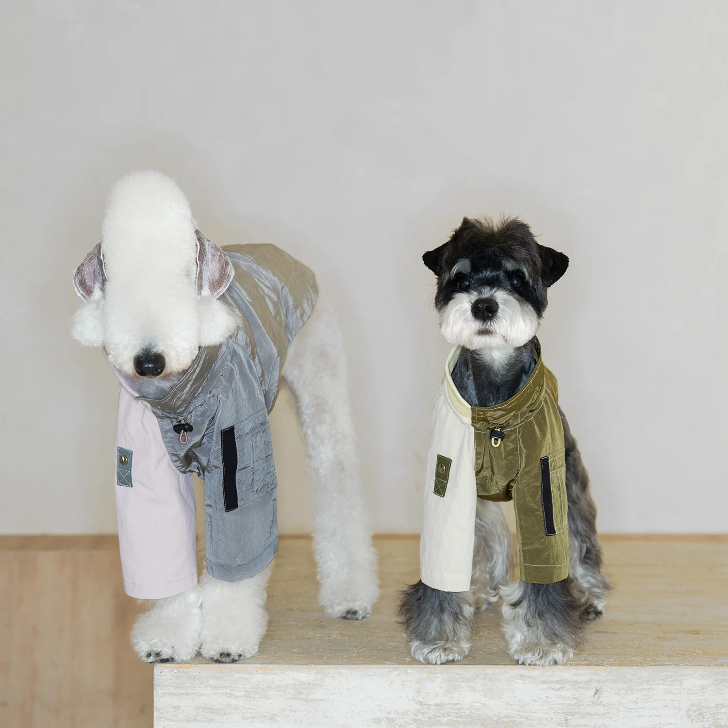 Chaqueta impermeable para Galgo Italiano – Abrigo ultraligero verde