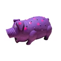 Purple pig