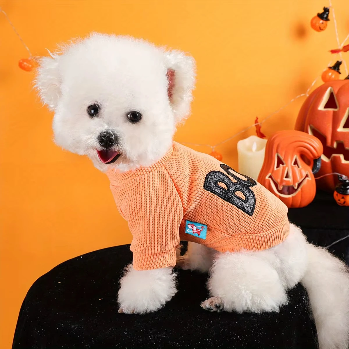 Halloween cuello redondo naranja ropa para mascotas perro gato divertido negro Boo inglés bordado jersey abeto - imagen 4