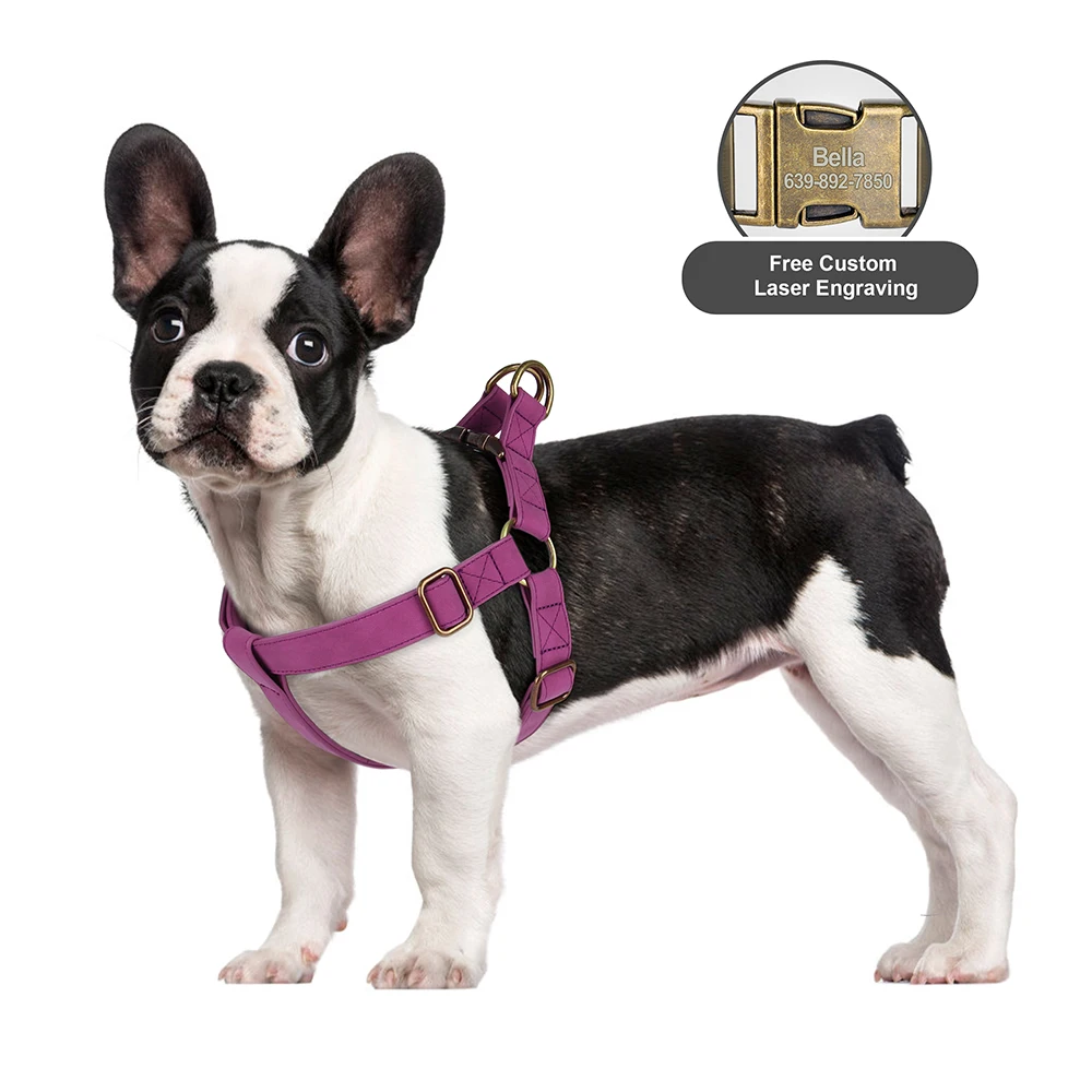 Arnés con hebilla de nombre de identificación de Pet de cuero PU personalizado, arneses duraderos para perros, chaleco para perros grabado gratis para perros pequeños, medianos y grandes, Pug - imagen 5