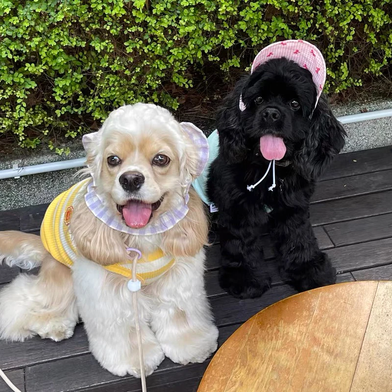 Protector solar de verano para perros pequeños, gorro ajustable con agujeros para las orejas para exteriores, estilo Ins, para Teddy, Yorkshire, Kawaii, para Bichon Frise - imagen 5