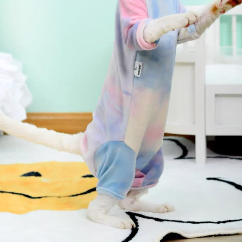 Sphynx-ropa de gato para gatitos, traje de teñido suave de 4 Patas para gatitos, abrigo azul cálido para invierno, ropa de estar por casa para Yorkshire, Primavera - imagen 5