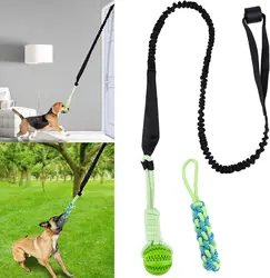 Cuerda con poste de resorte para perros – Juguete interactivo