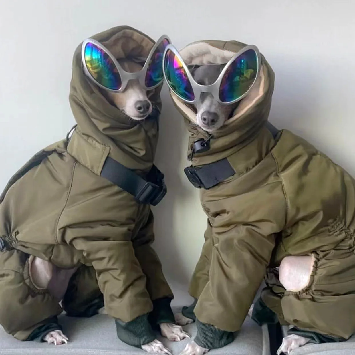 Ropa verde militar Whippet muy gruesa de invierno, abrigo acolchado con cuello de tortuga para perro, Chaqueta de algodón ajustable cálida para galgo italiano - imagen 4