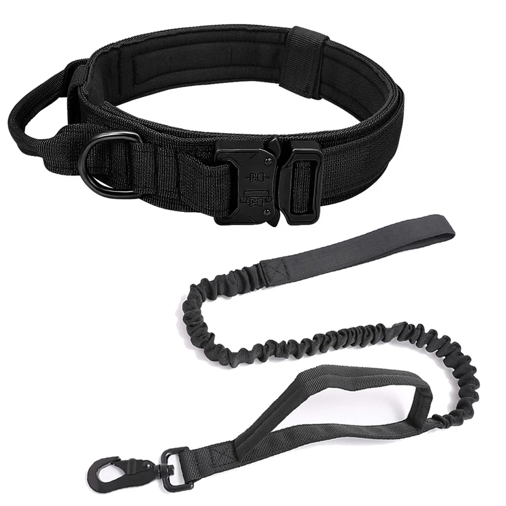 Collar-leash black