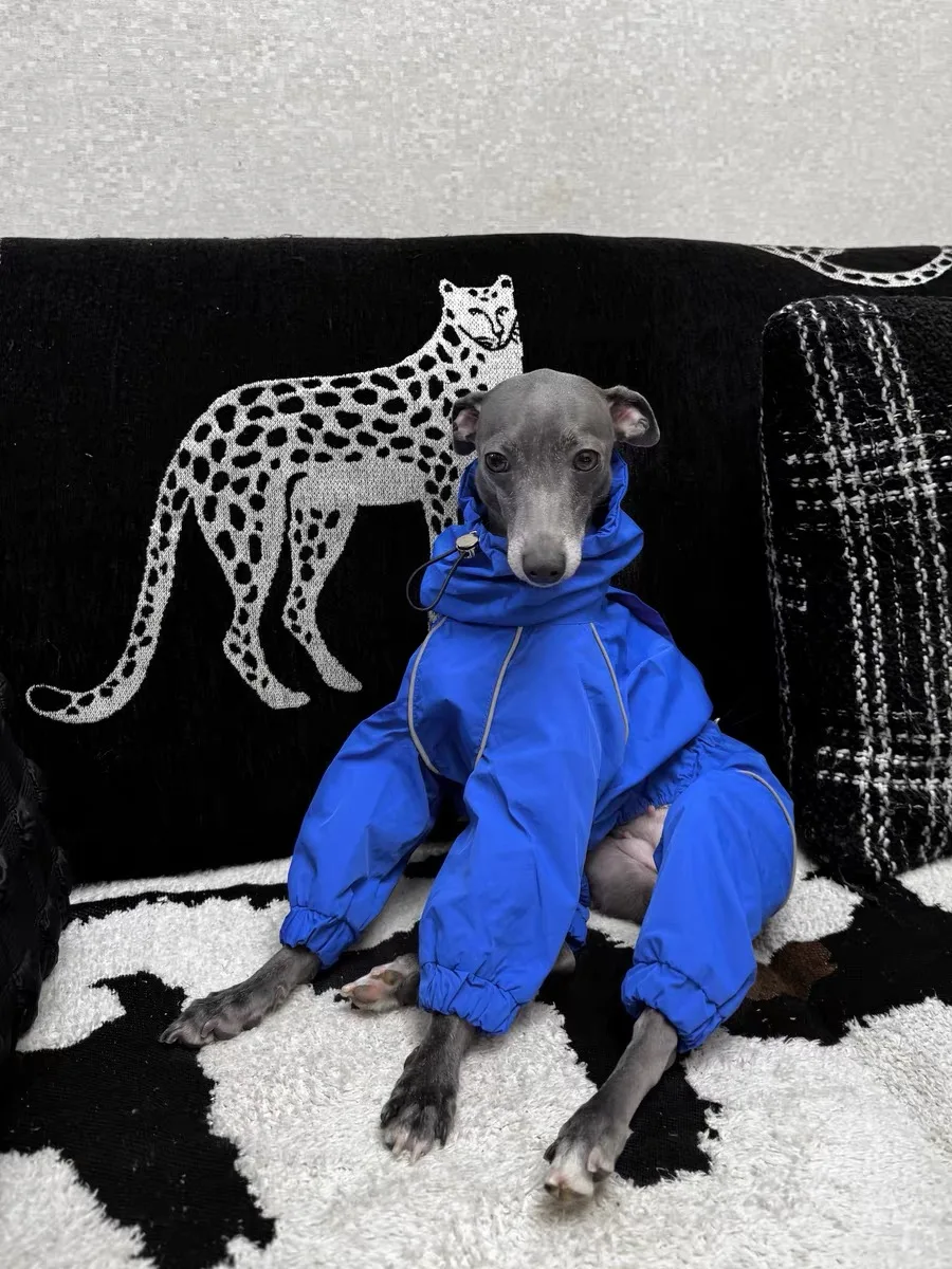 Ropa impermeable para perros galgo italiano a la moda, impermeable para perros de 4 patas a prueba de viento, chaqueta azul, abrigo, ropa de descanso suave para Bellington