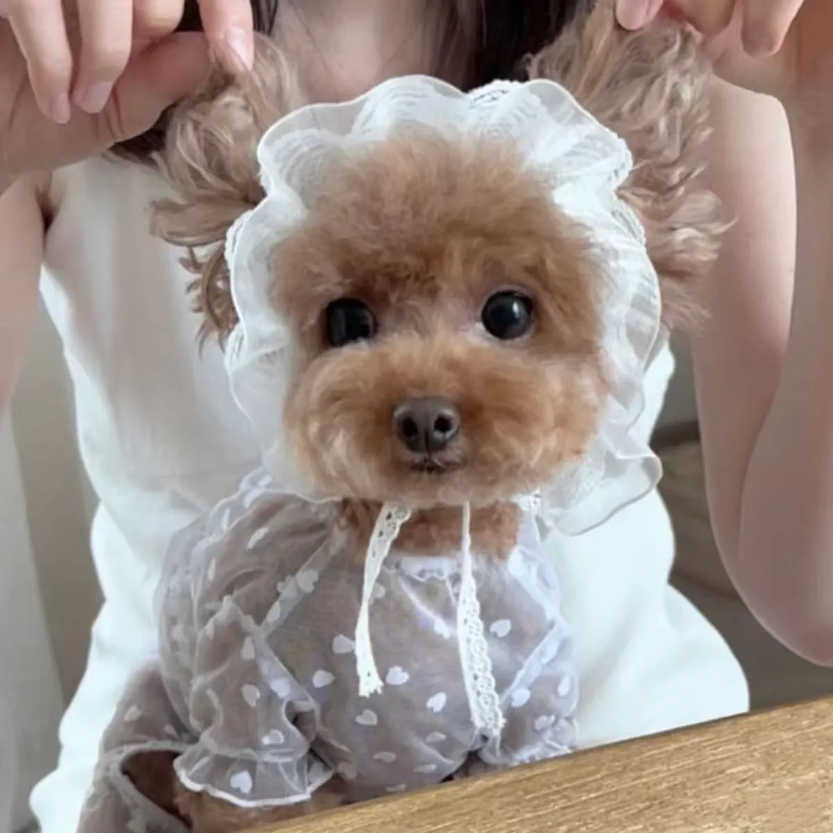 Vestido de princesa para mascotas de verano, ropa de encaje y malla para perros, ropa de malla para perros, ropa bonita para gatos, traje anticaída para cachorros y gatitos para perros - imagen 3