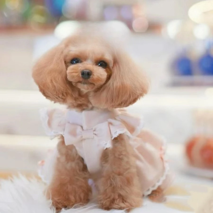 Vestido de manga voladora para mascotas, vestido de princesa con lazo, camiseta sin mangas cómoda para perros pequeños, ropa para cachorros, primavera y otoño - imagen 2