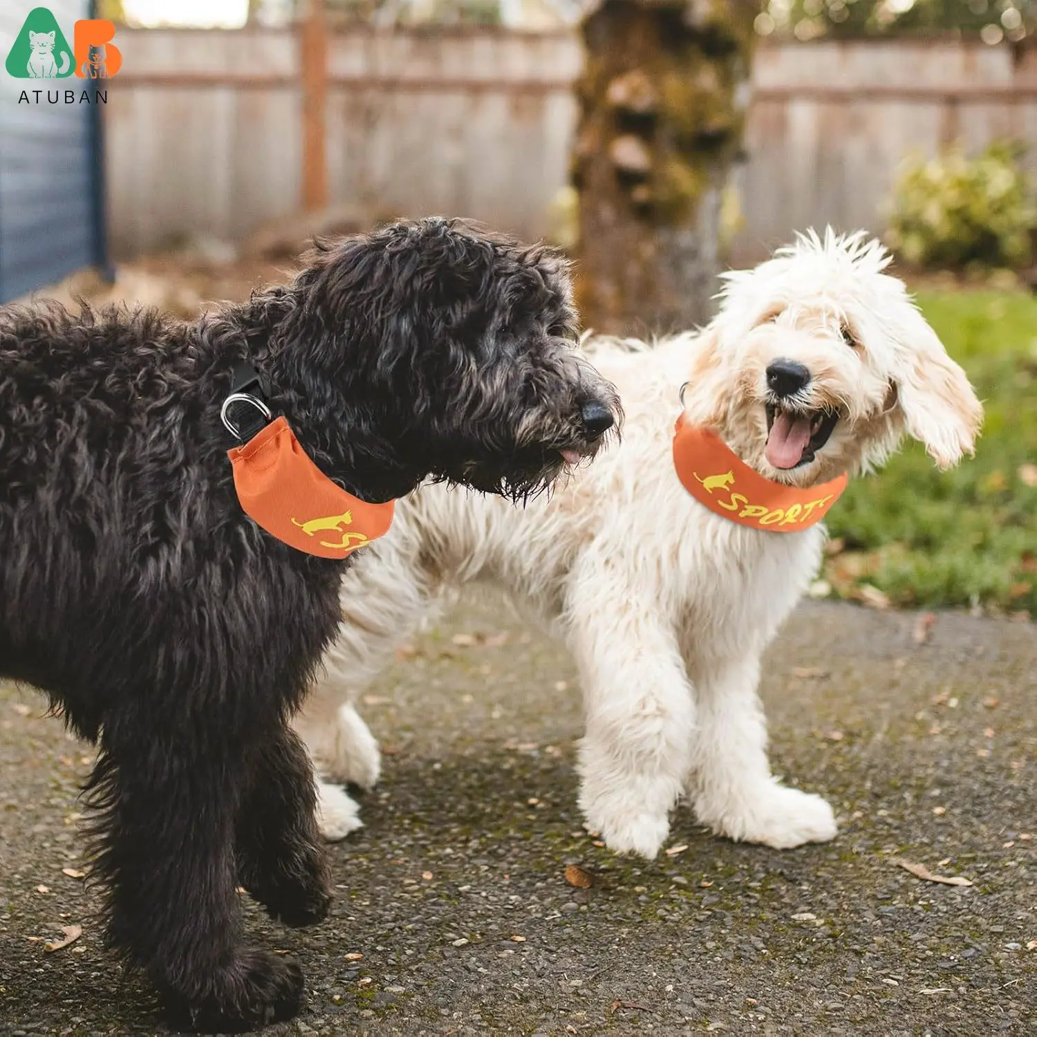 ATUBAN Juego de Collar y Correa para Perros, Collar Todo en Uno con Combo de Correa Retráctil, Collar para Perros Grande con Cuerda Incorporada - imagen 2
