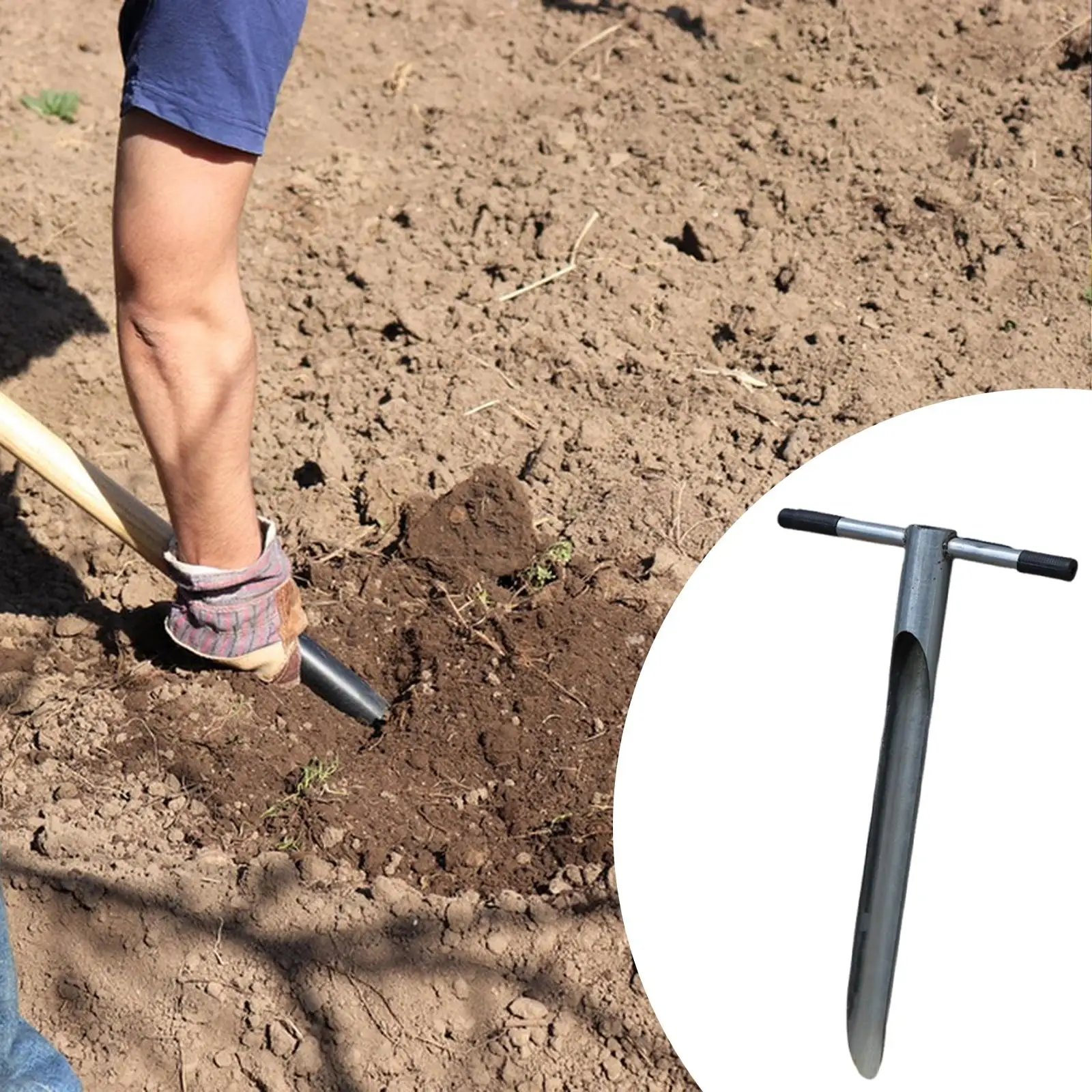 Sonda de muestra de suelo con mango en T, cuidado de plantas de 31,5 pulgadas de largo para granja de campos de golf forestales - imagen 4