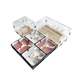 Formicario acrílico para criar hormigas – Hábitat completo