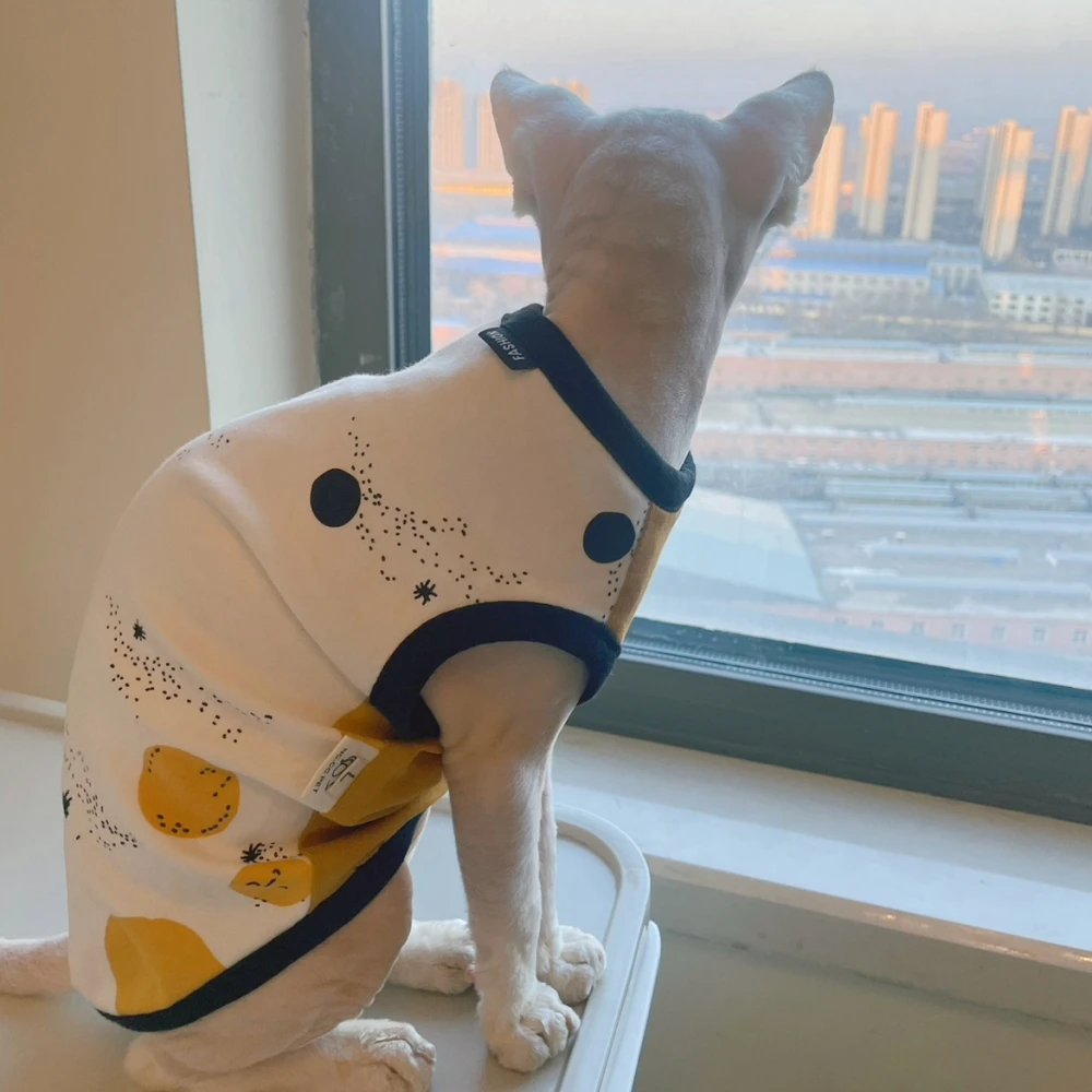 Camisa de algodón de primavera verano para ropa de gato Sphynx Abrigo de manga corta beige suave para gatas Mono Elestic para Devon Rex - imagen 3