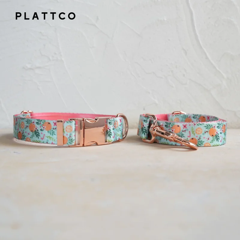 Dog Collar Leash Set