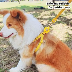 Arnés transpirable de verano para perro con correa – Paseos cómodos