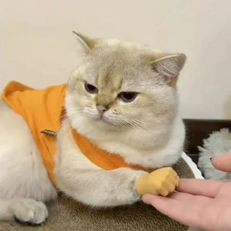 Divertidos juguetes interactivos para dedos de gato, guantes de mano falsos suaves TPR para burlas, Mini manos creativas para entretenimiento de gatos, novedad - imagen 3